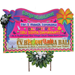 Papan Gabus 2x1